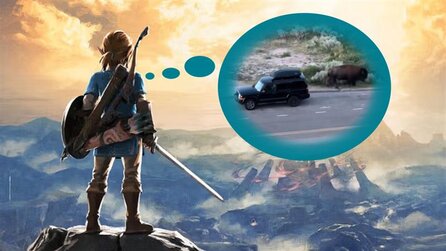 Gamer möchte Zelda auf der Spitze eines Berges spielen - währenddessen wird sein Auto von einem Bison angegriffen