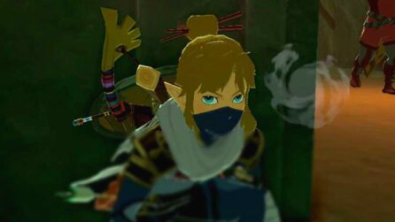 Breath of the Wild-Fan hat ein ganzes Zelda-Waffenarsenal bei sich zu Hause
