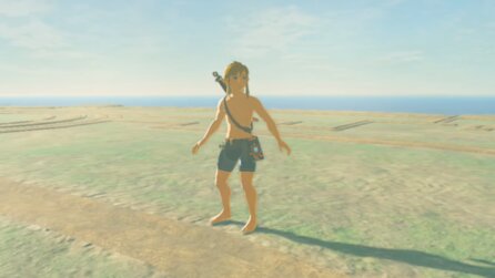 Zelda: Breath of the Wild - Spieler bezwingt DLC-Endboss ohne Rüstung + mit nur drei Herzen