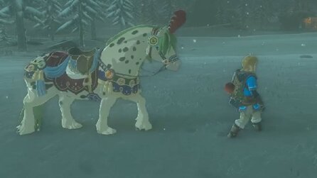 Zelda Tears of the Kingdom-Fan findet süßes Pferde-Detail heraus und das wollen wir jetzt sofort selbst ausprobieren