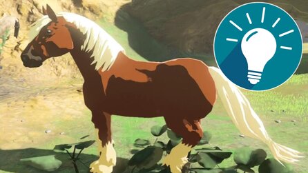 Der eine Tipp, der hilfreich war: Zelda TotK-Spieler zeigt, wie man am besten Wildpferde fängt