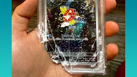 Ich hab echt kurz geweint - Pokémon TCG-Sammler verliert wertvolle Karten im Wert von 1.200 Euro, weil sein Hund sie angeknabbert hat