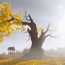 Open-World-Meisterwerk für PS5 jetzt günstig schnappen