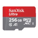 256 GB SanDisk Ultra