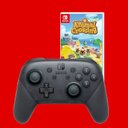 Nintendo Swithc Pro Cpntroller + Animal Crossing + USB-Adapter