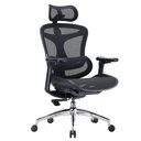 Hier gibts den starken Sihoo Doro C300 V2 Pro