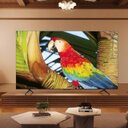 85 Zoll QLED 4K-Fernseher zum Top-Preis schnappen