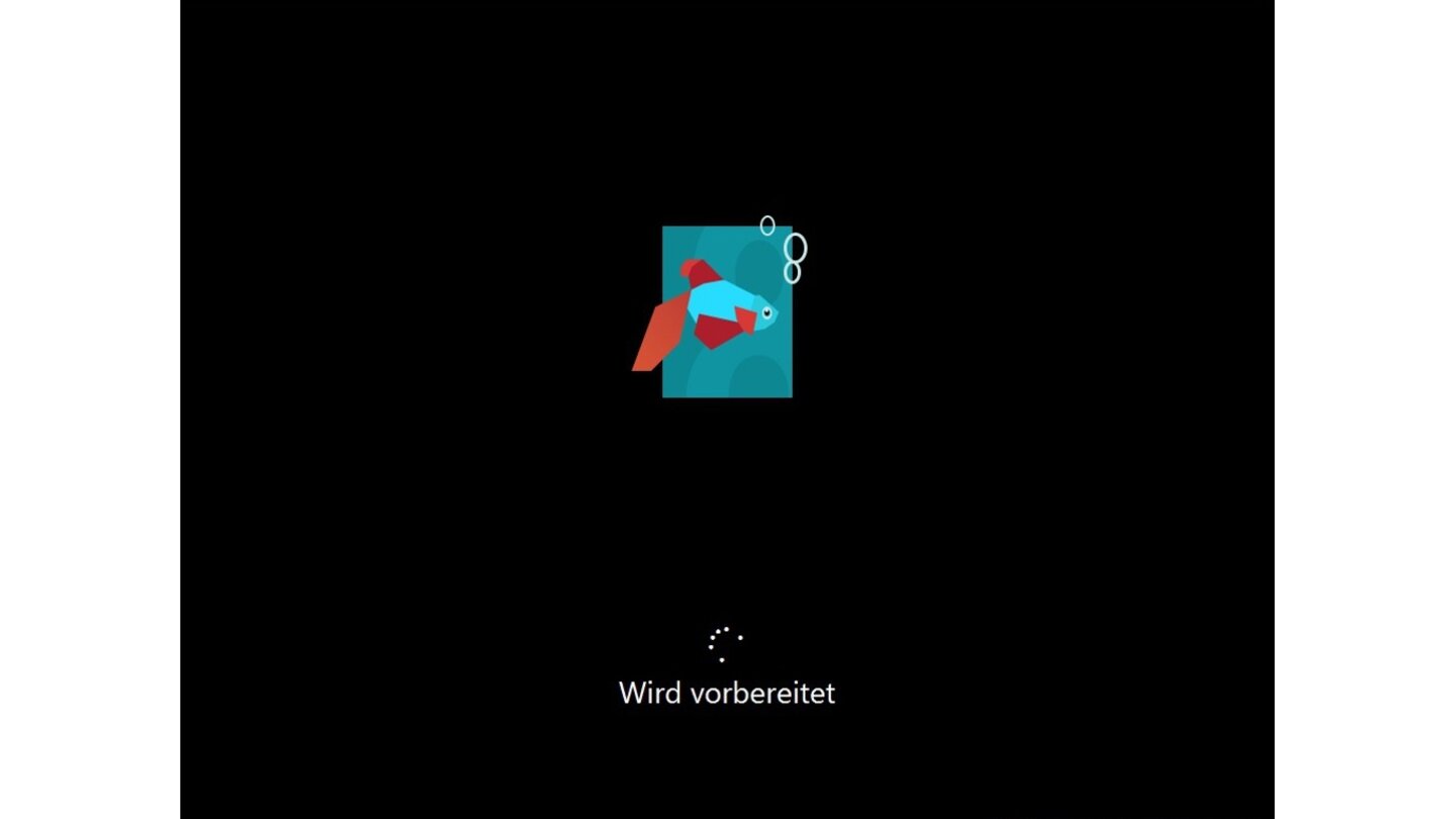 … begrüßt Sie anschließend mit dem Windows-Beta-Fisch anstelle des bekannt Windows-Logos.
