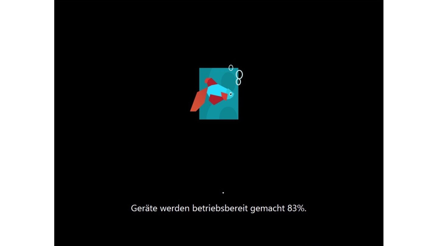 Wundern Sie sich nicht, wenn dieser Vorgang etwas länger dauert, je nachdem wie viele Geräte Sie an und in Ihrem PC haben, kann das einige Minuten in Anspruch nehmen.
