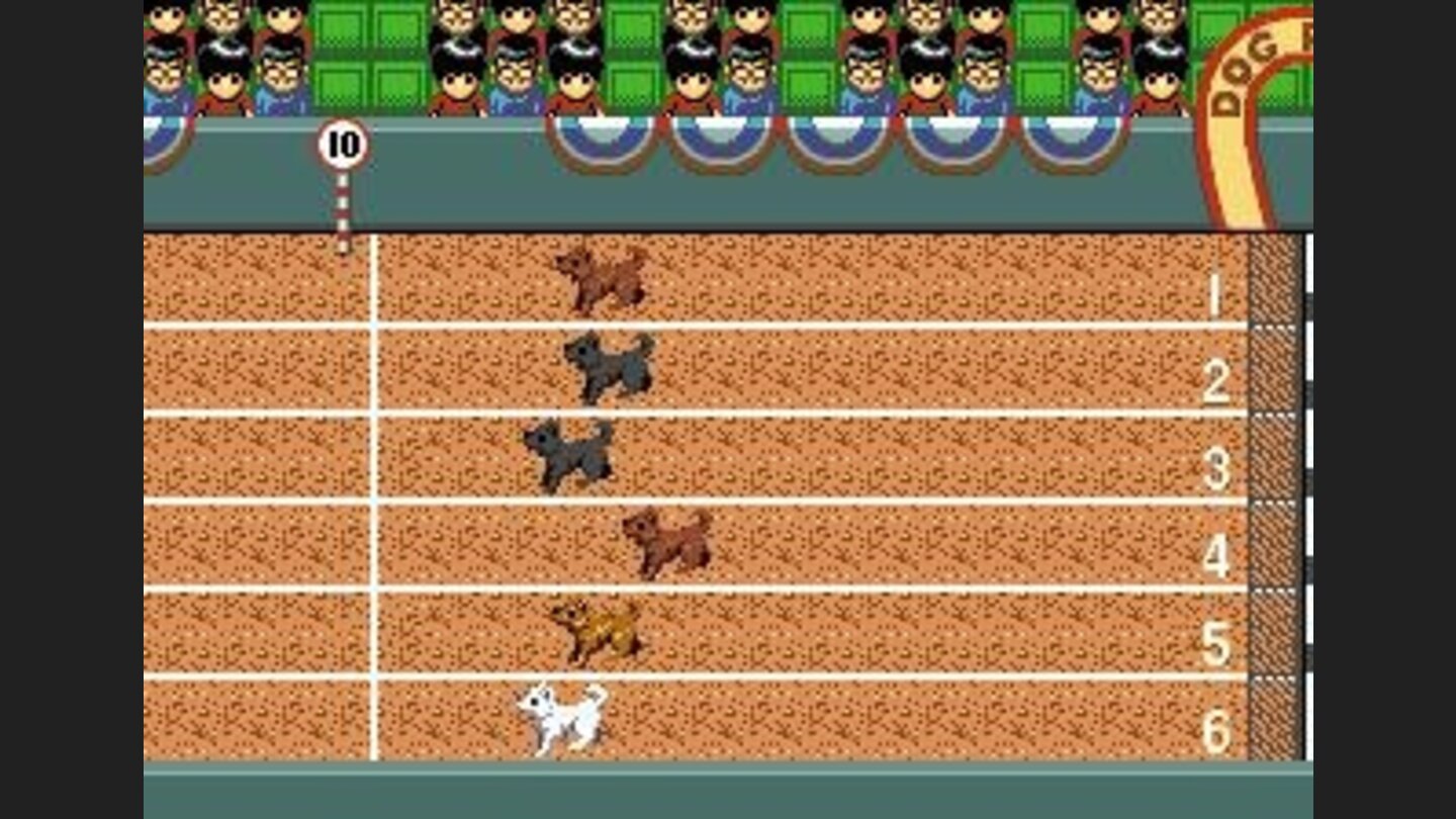 Dog races in Macao - a gambling mini-game