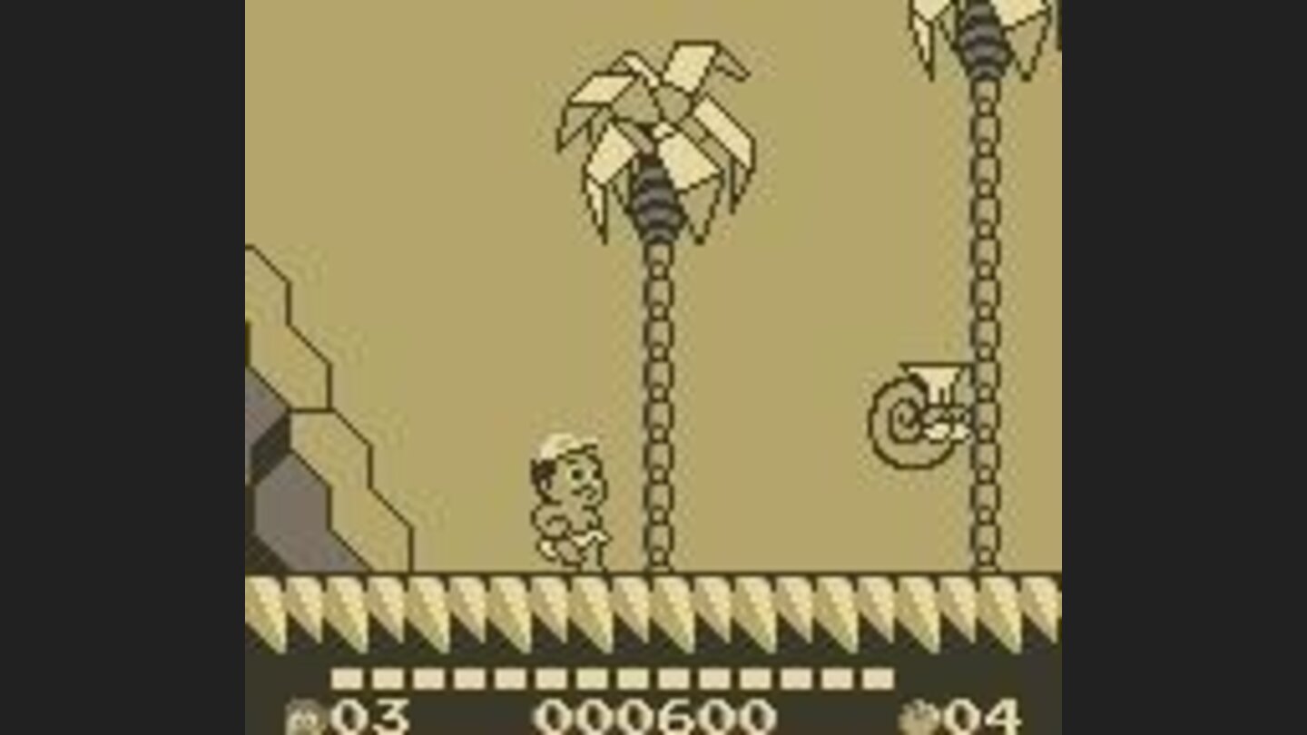 Palm Trees and Snails