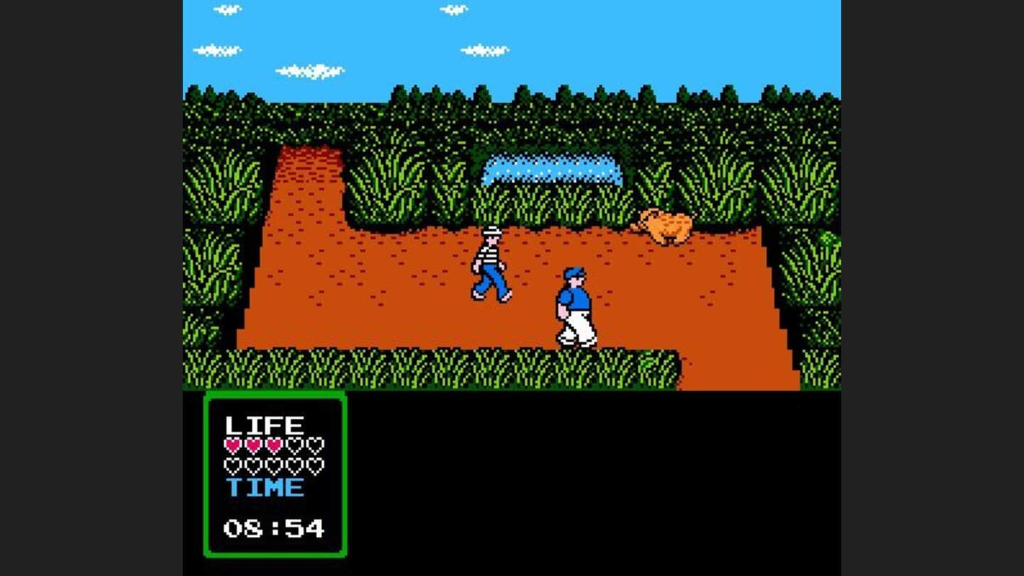 A wild boar charges forward