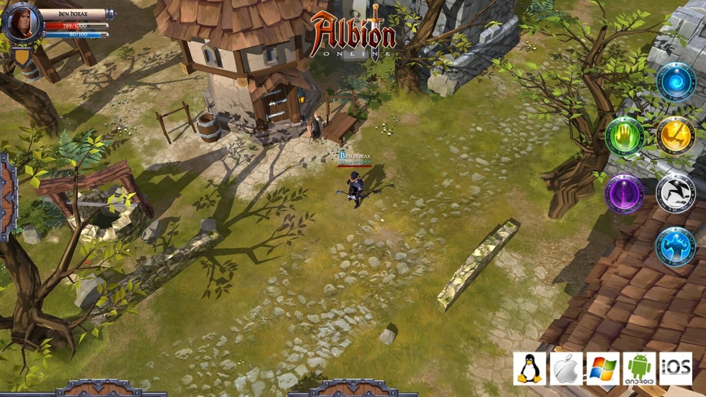 Albion Online