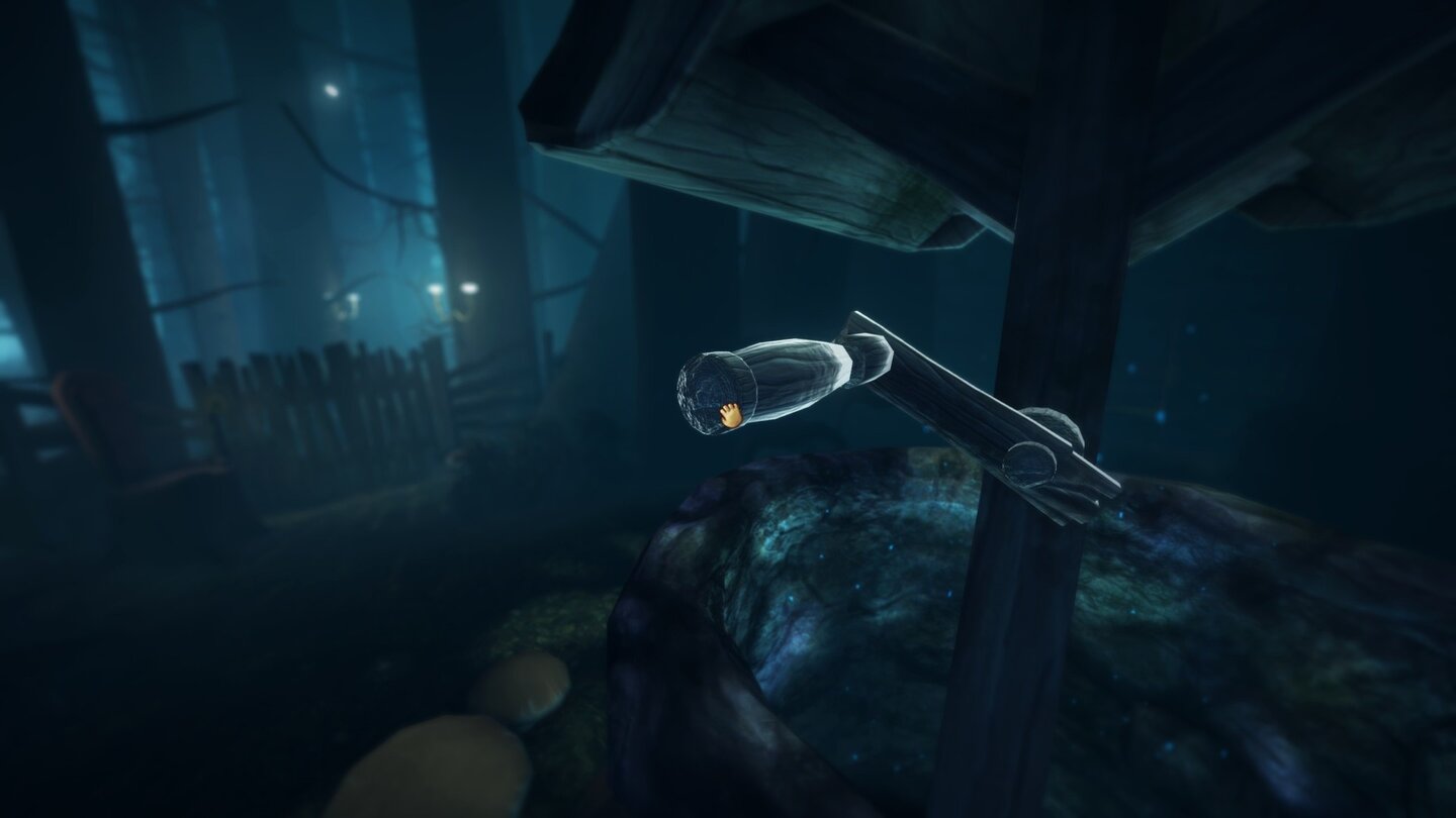 Among the Sleep