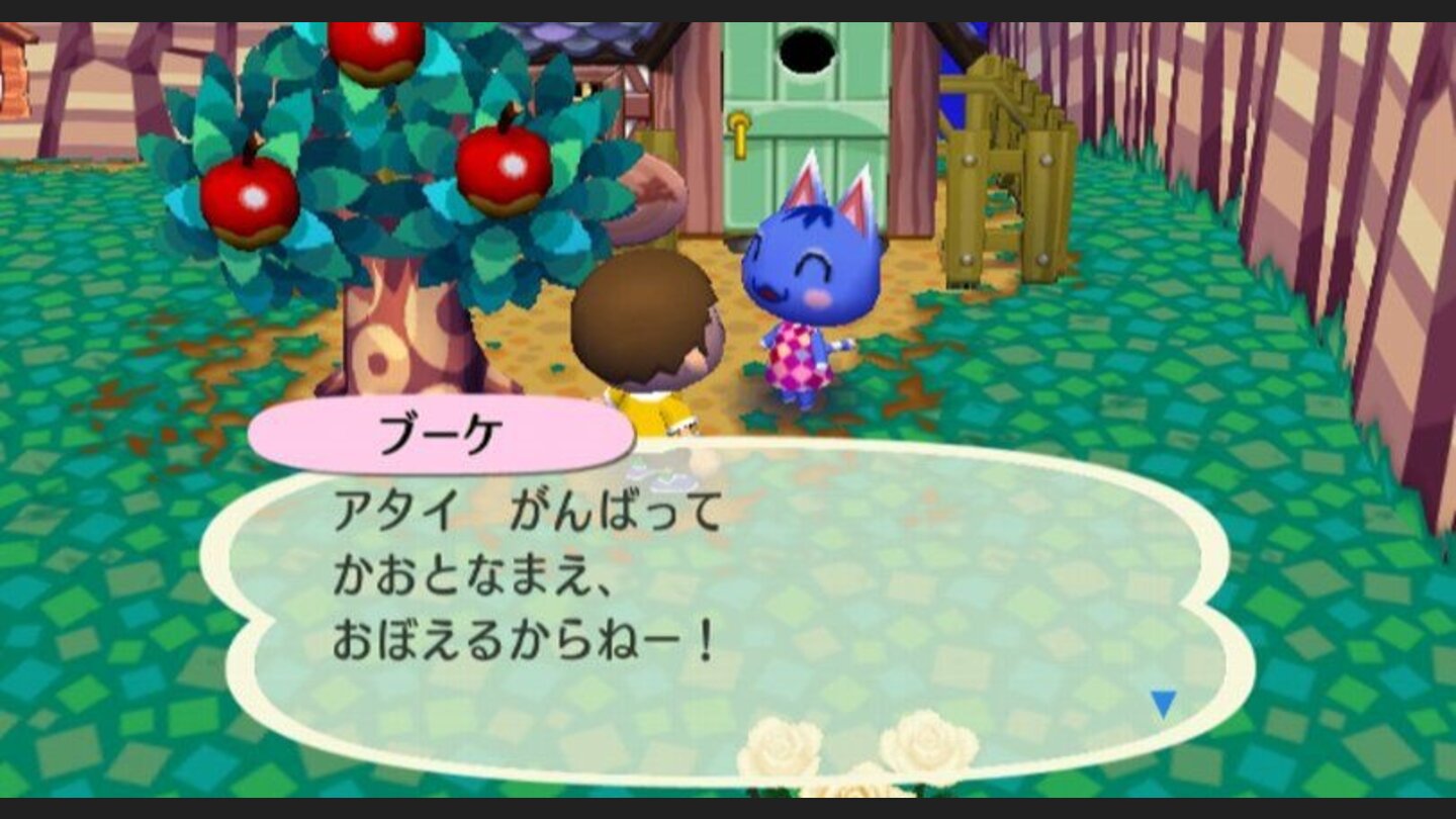 animal_crossing_cityfolk_wii_014