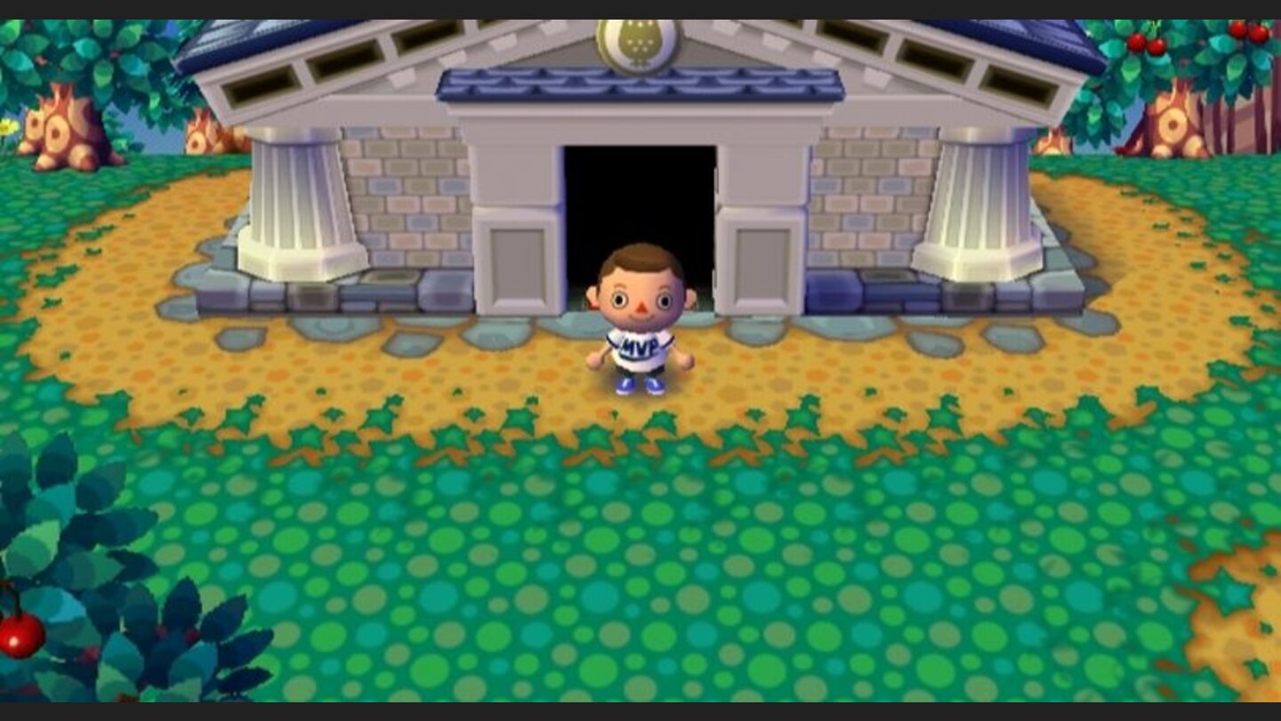 animal_crossing_cityfolk_wii_059