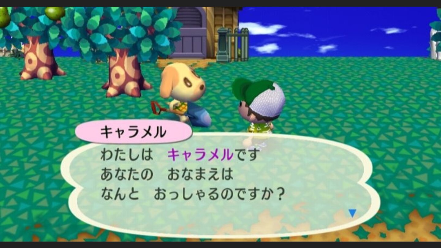 animal_crossing_cityfolk_wii_061