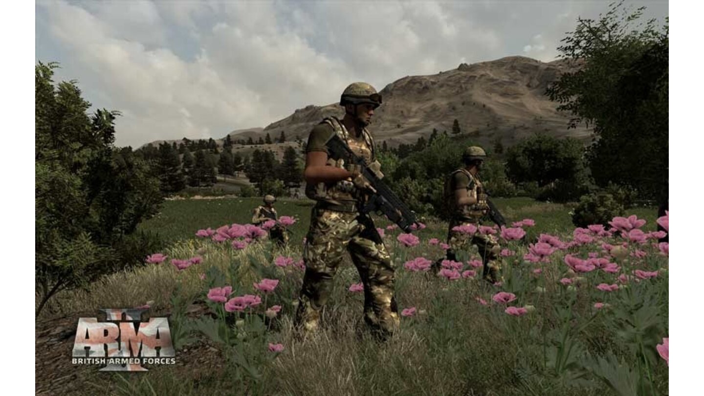 Arma 2: British Armed Forces