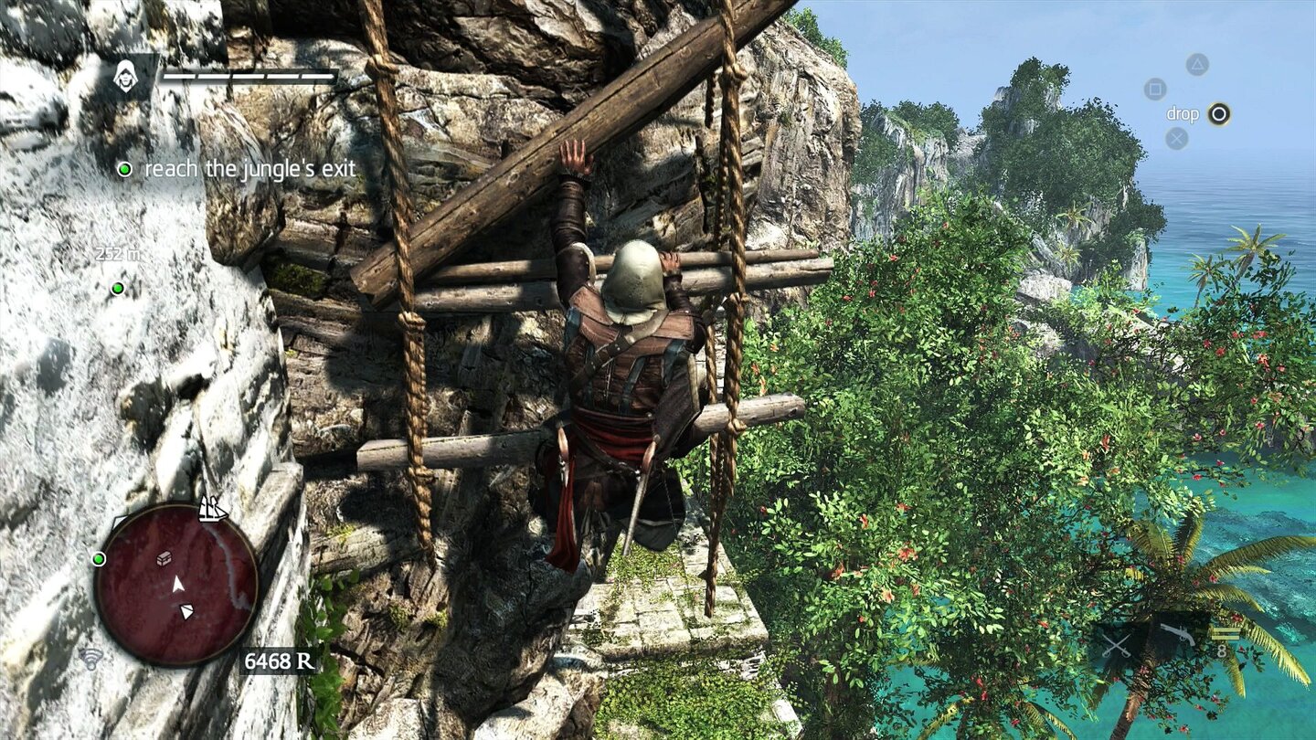 Assassin's Creed 4: Black Flag