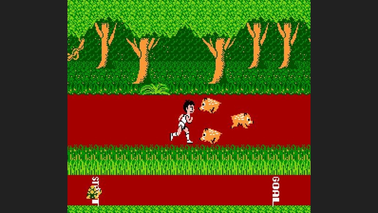 Run and avoid animals