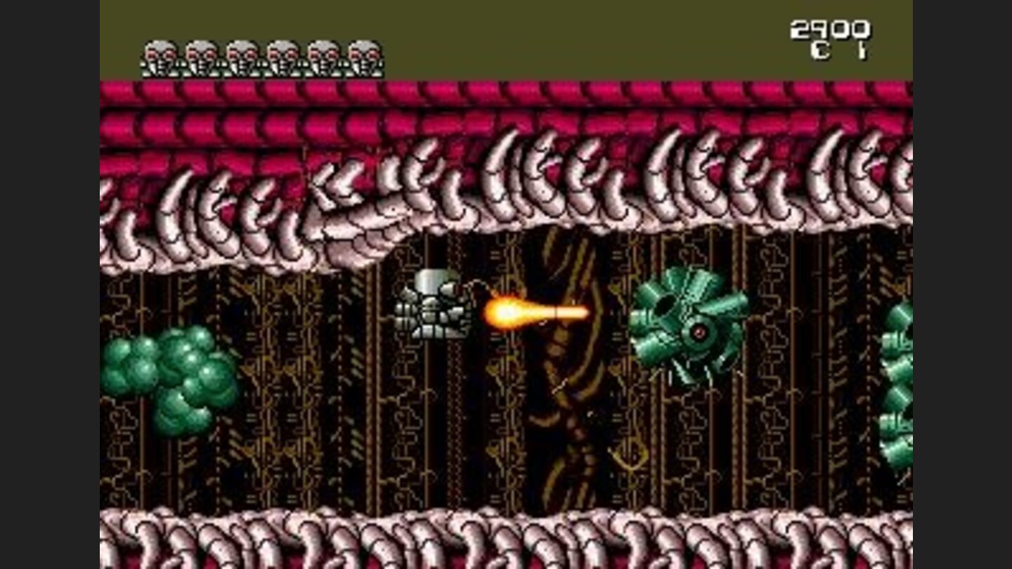 Shoot these before the shoot you