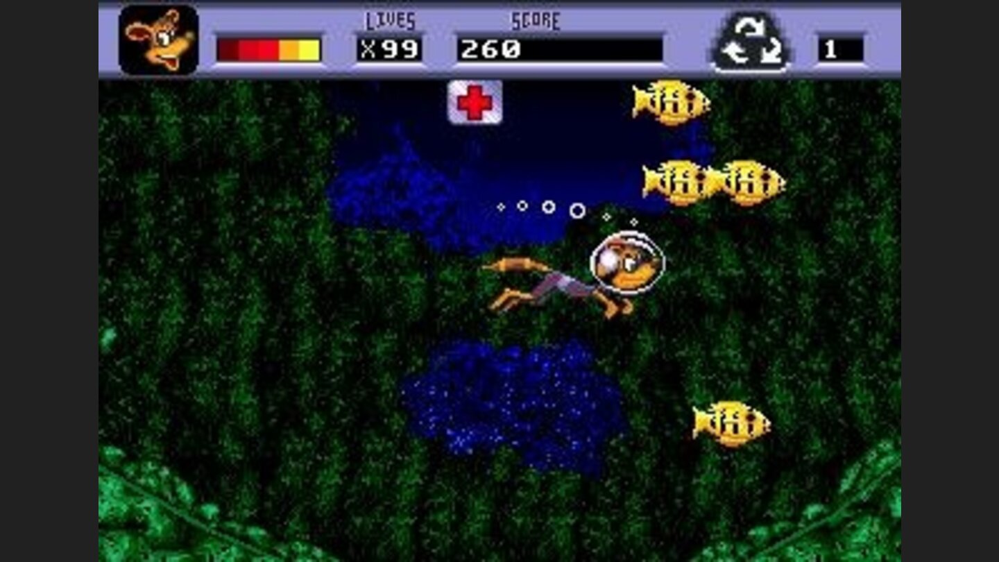 Yellow fish, first aid kits... the typical stuff youll meet in sea