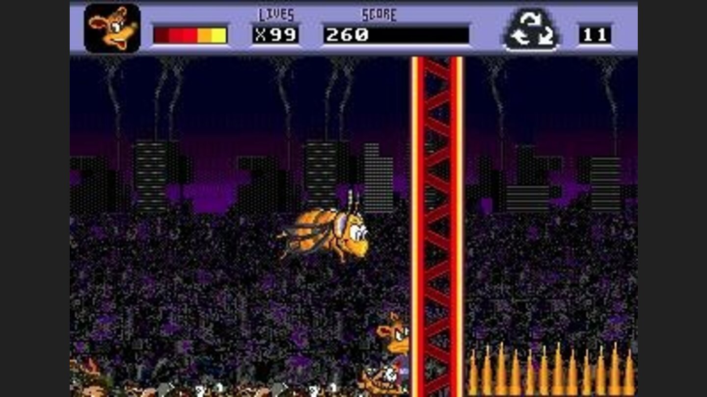 This bee looks interested in you