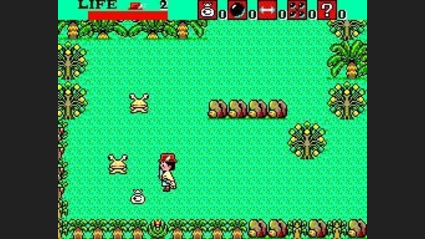 Get the money bags that rabbits drop...