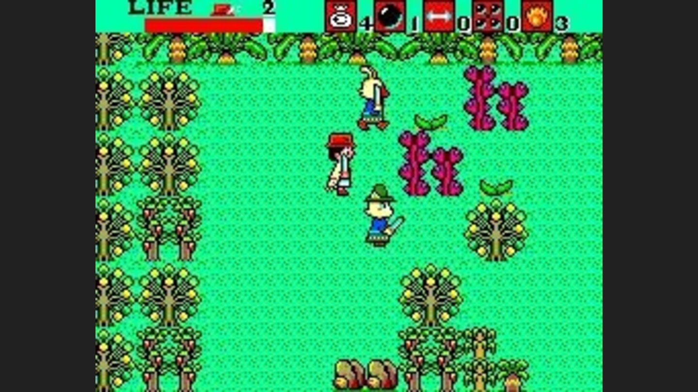 Cannot continue with that huge plant blocking the path