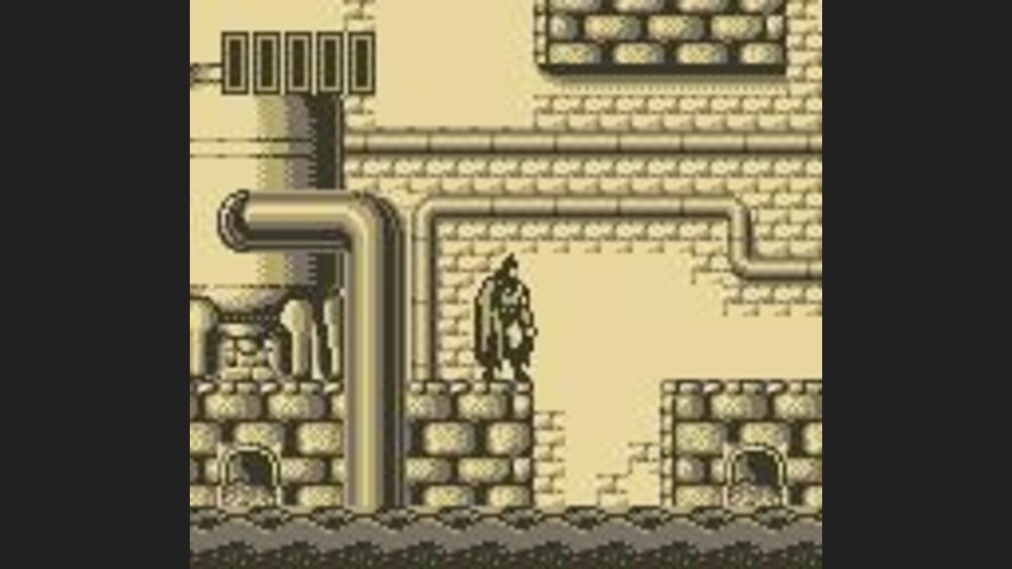 See any Ninja Turtles in there?