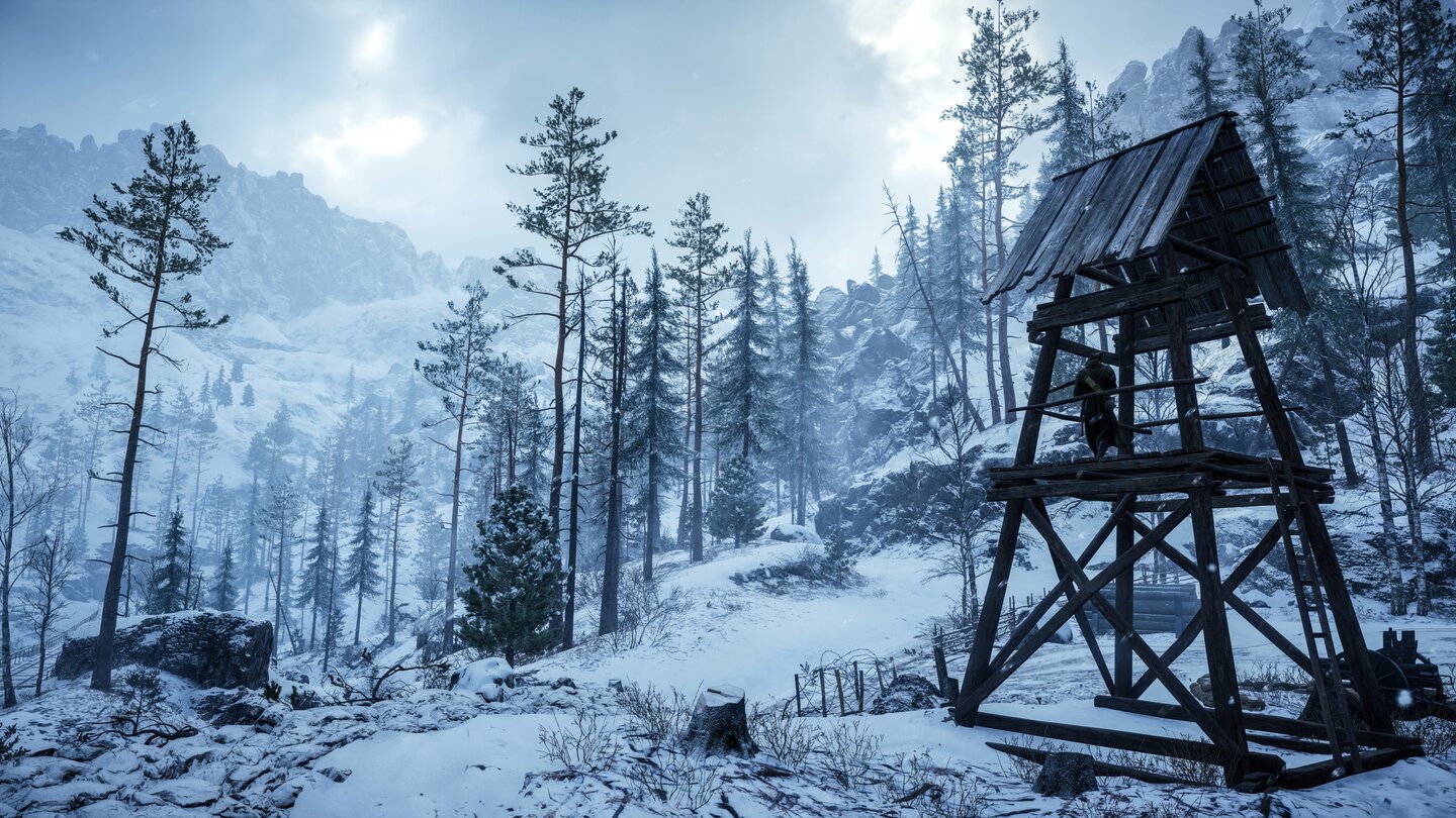 Battlefield 1: In the Name of the TsarScreenshot von der Karte Lupkow Pass