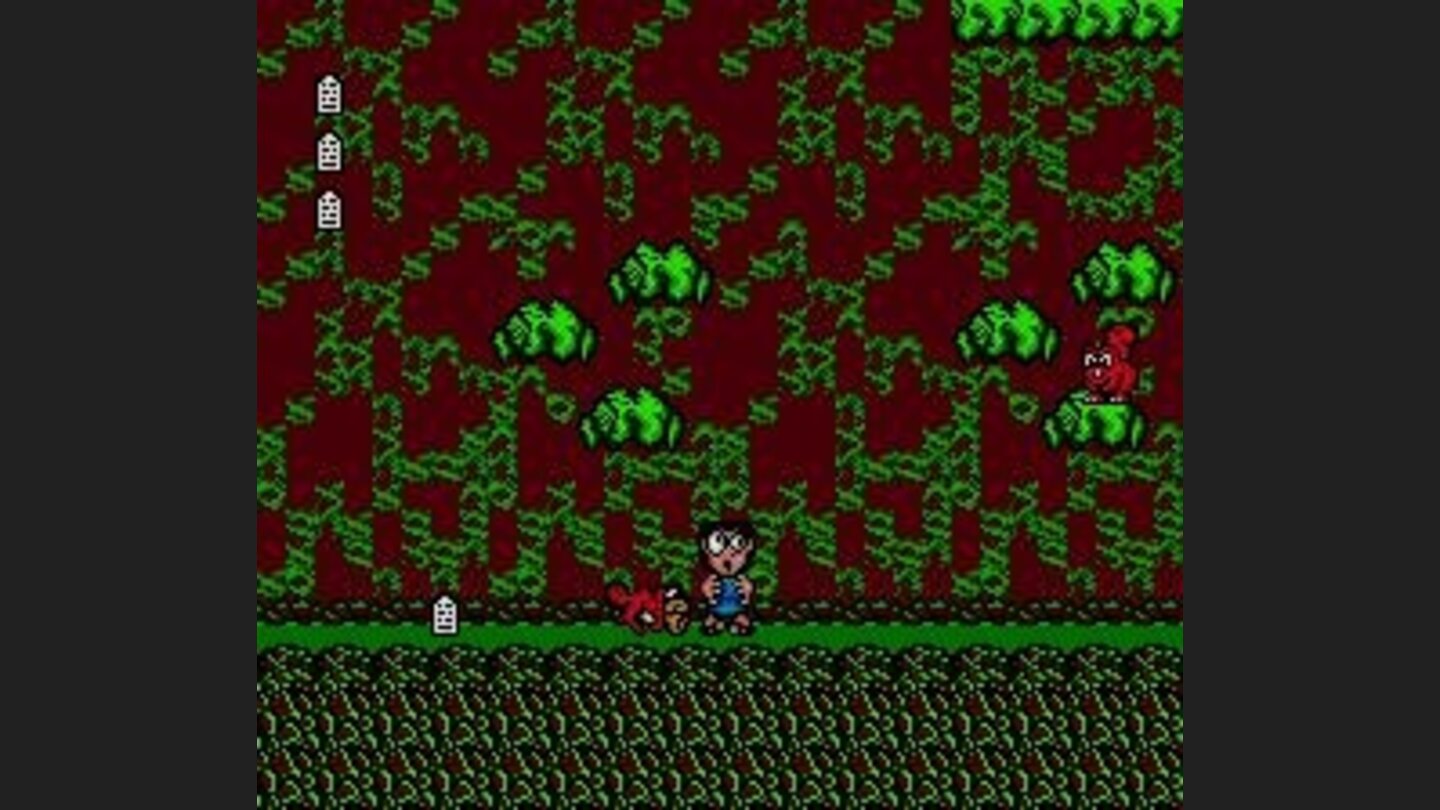 David gets bitten by a dog