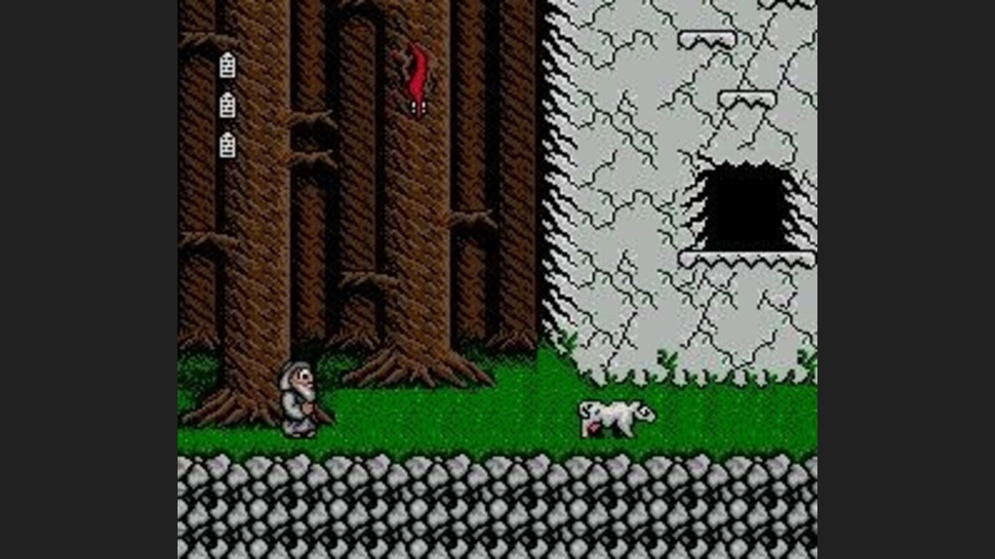 Noah is ready to embark on his cruise, but he should get some companions before