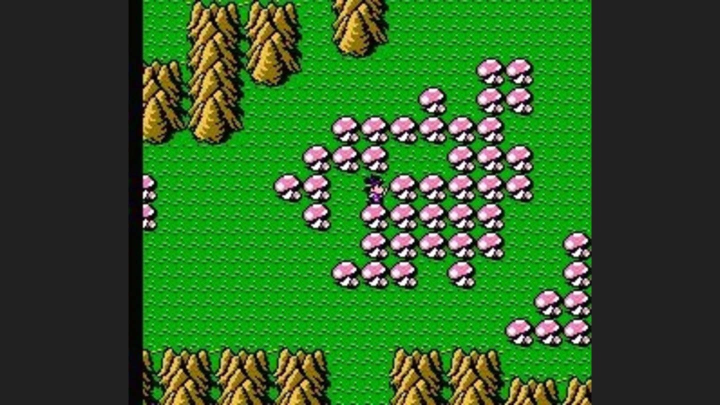 hey, I have nothing against mushrooms... but not so many, and not such big ones!