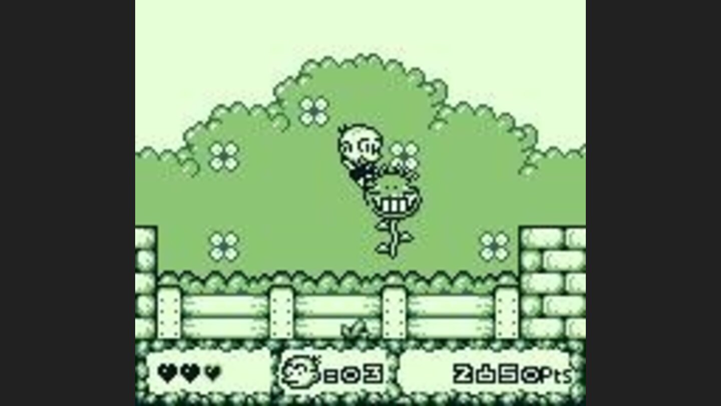 Look out for evil plants