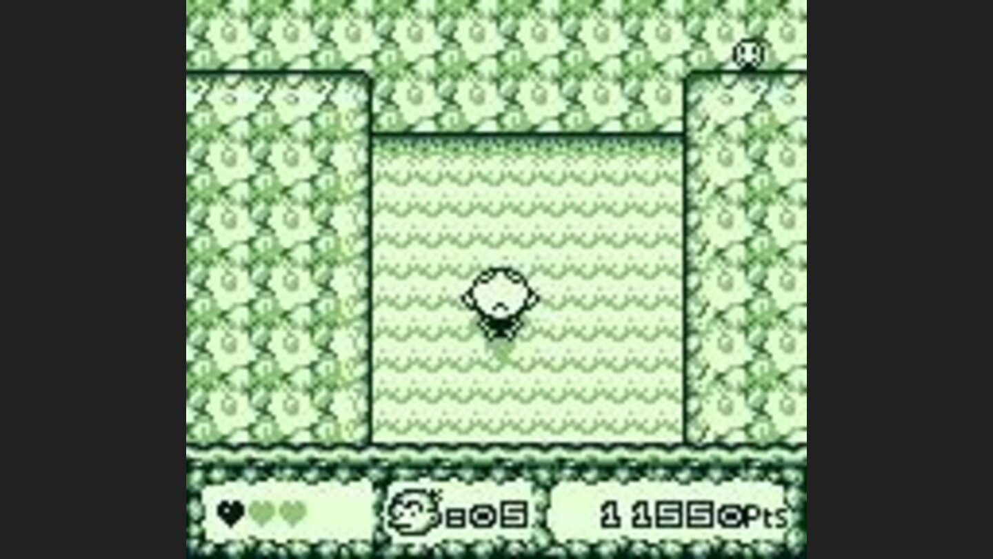 Climbing a waterfall