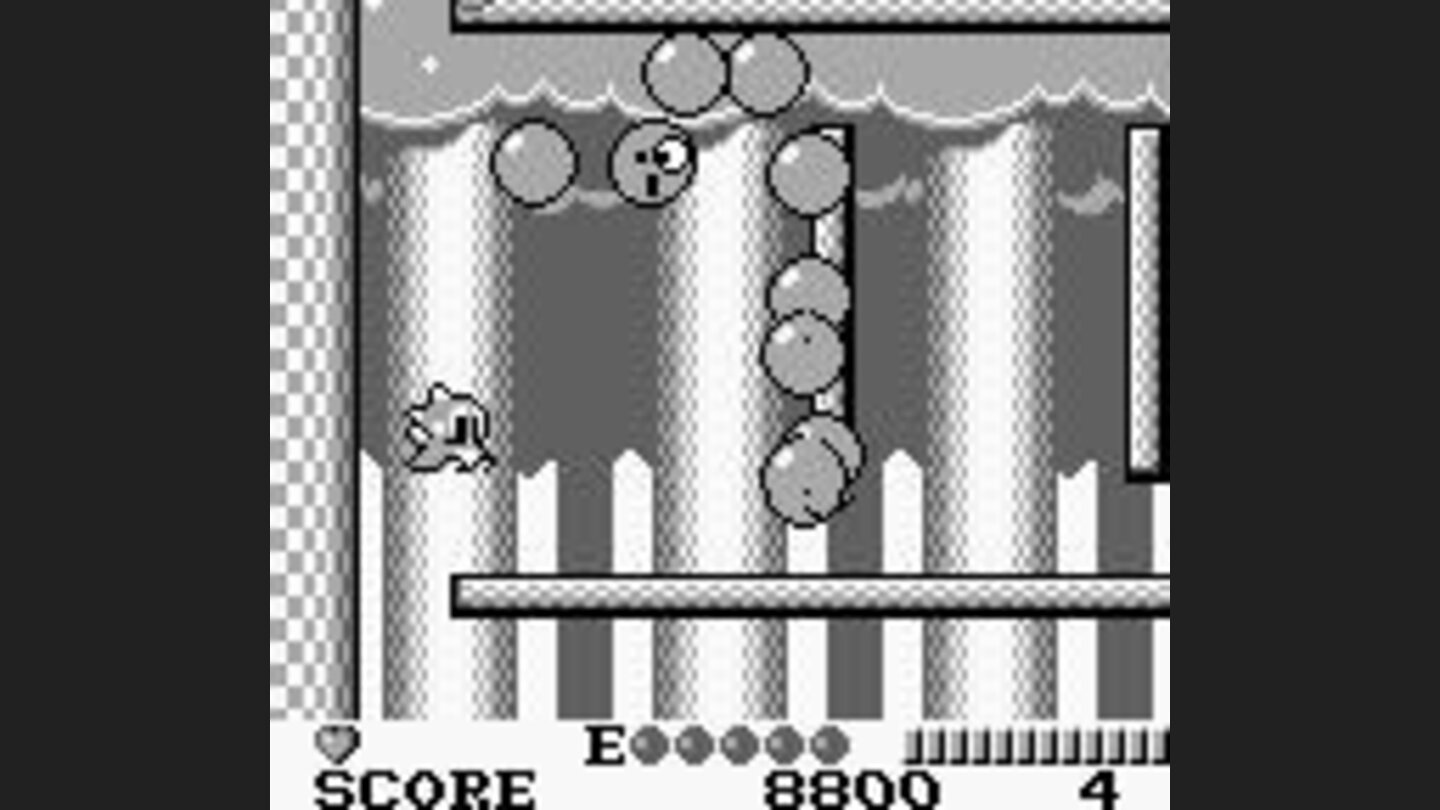 Another one bites the dust