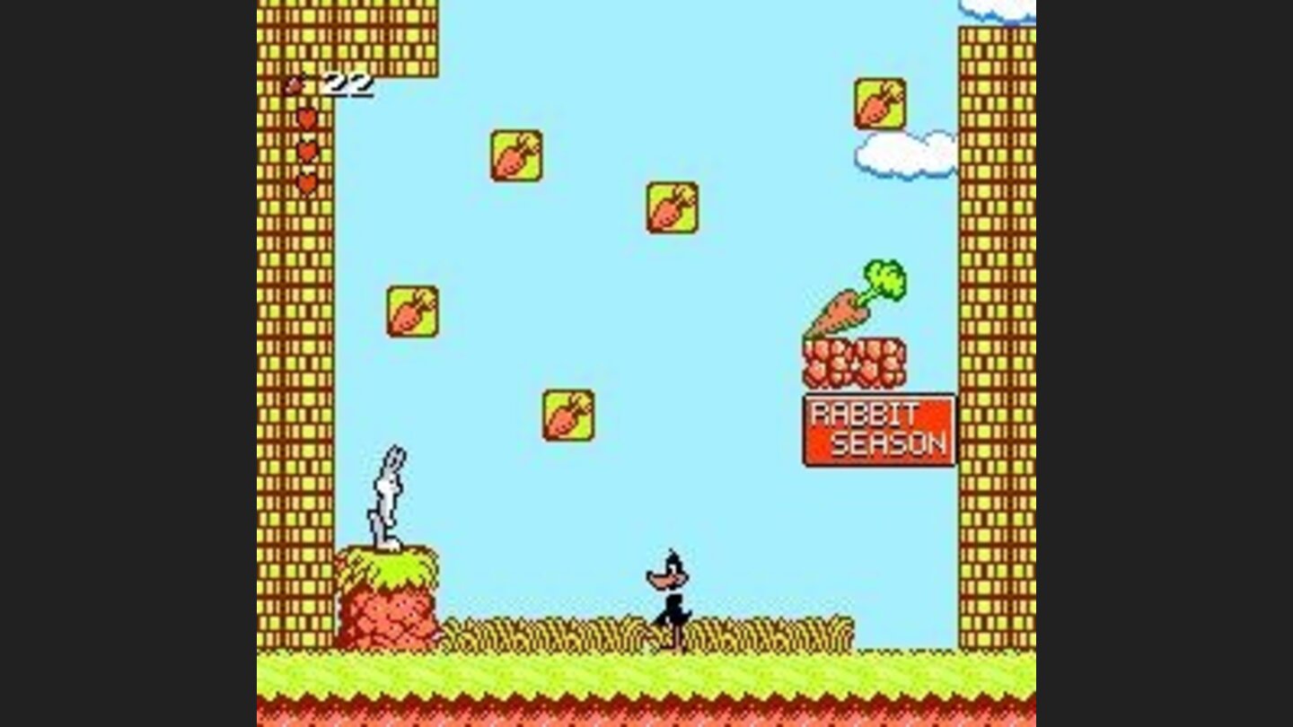 Hi daffy ! Its duck season :-)