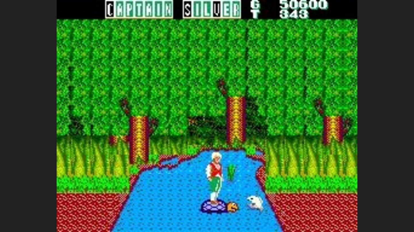 Using a turtle to cross the river