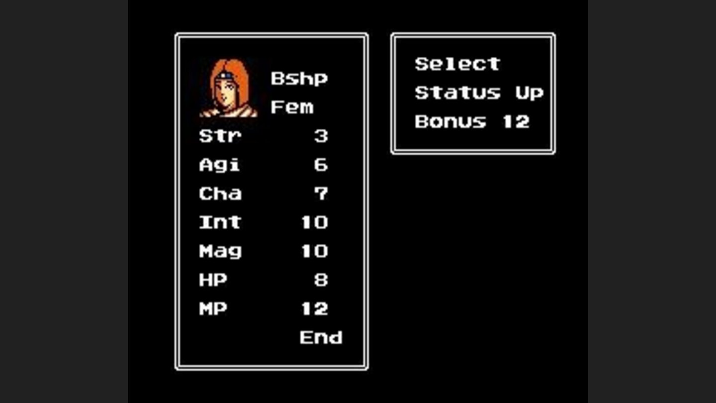 Allocating points for your main character (class bishop)