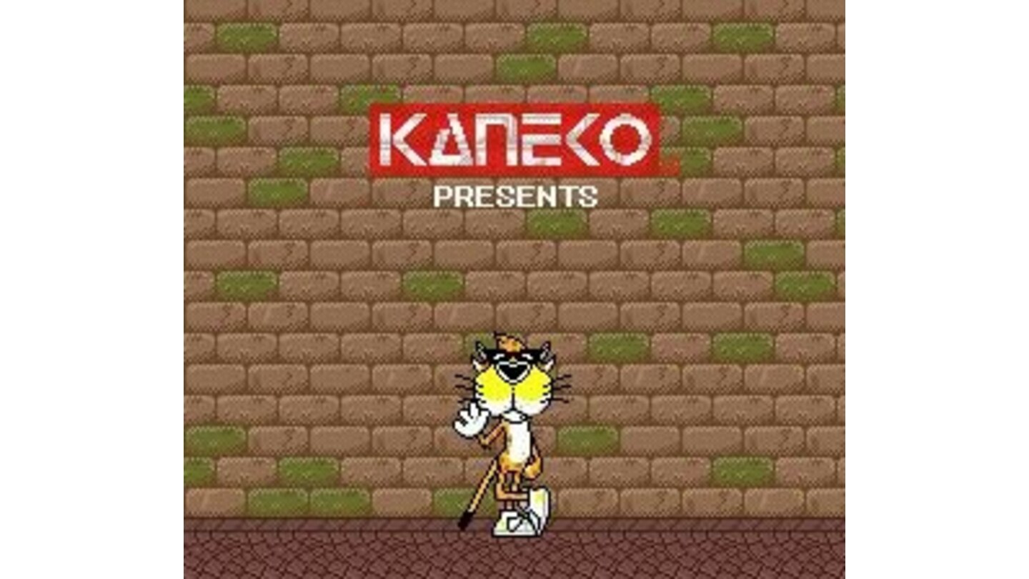 Funny Kaneko/Cheetah logo