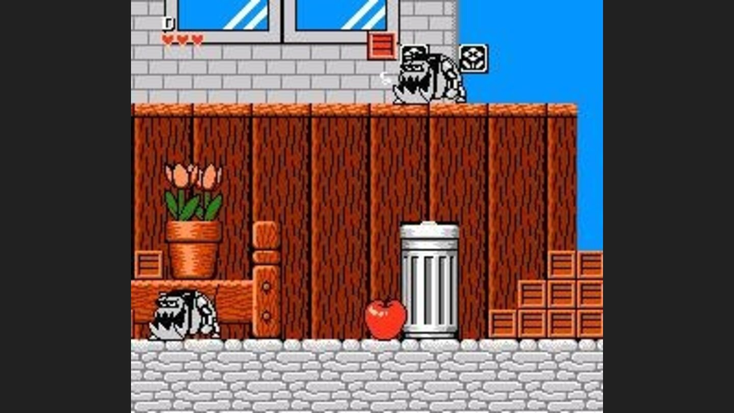 Mechanical dogs attack