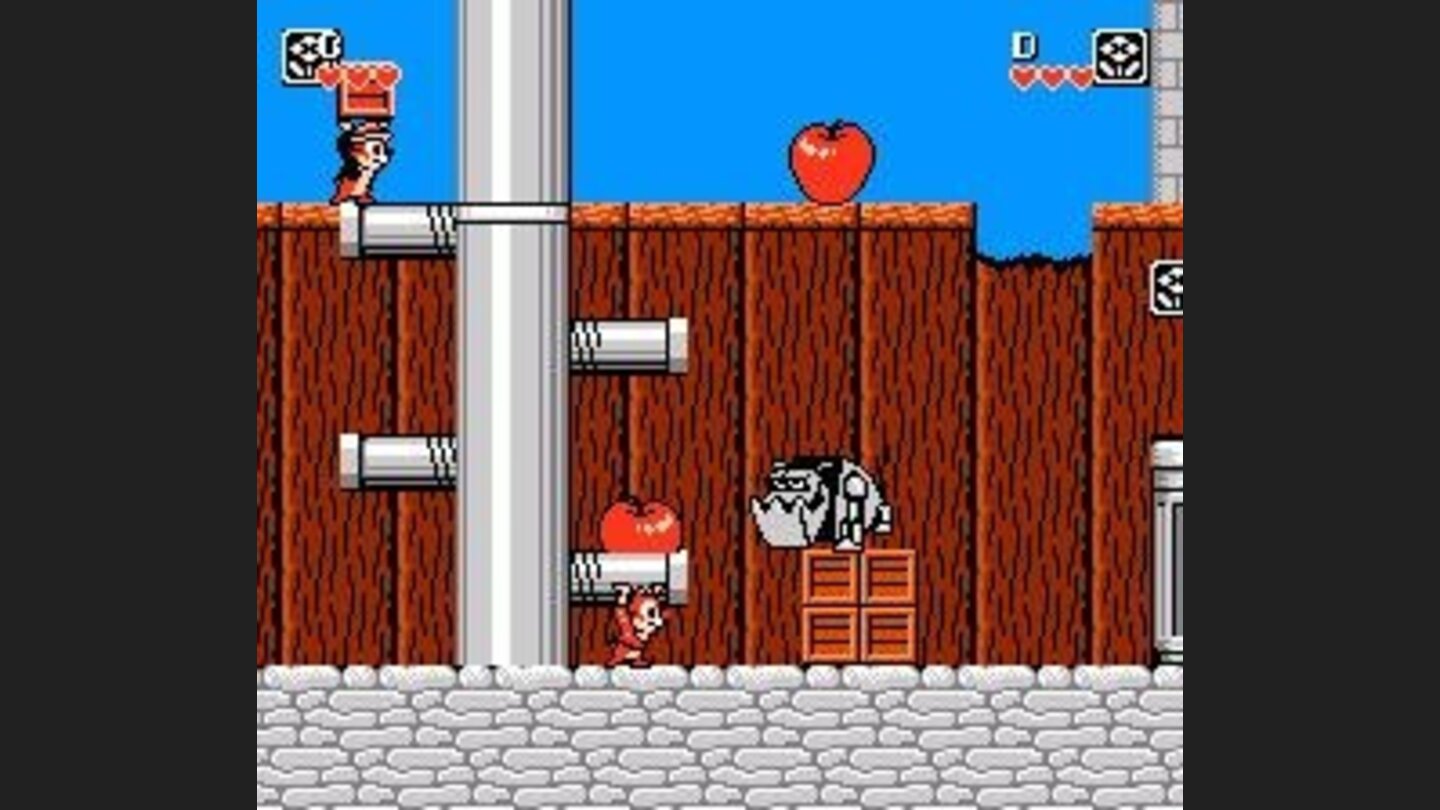 Chip + Dale; Tag Team