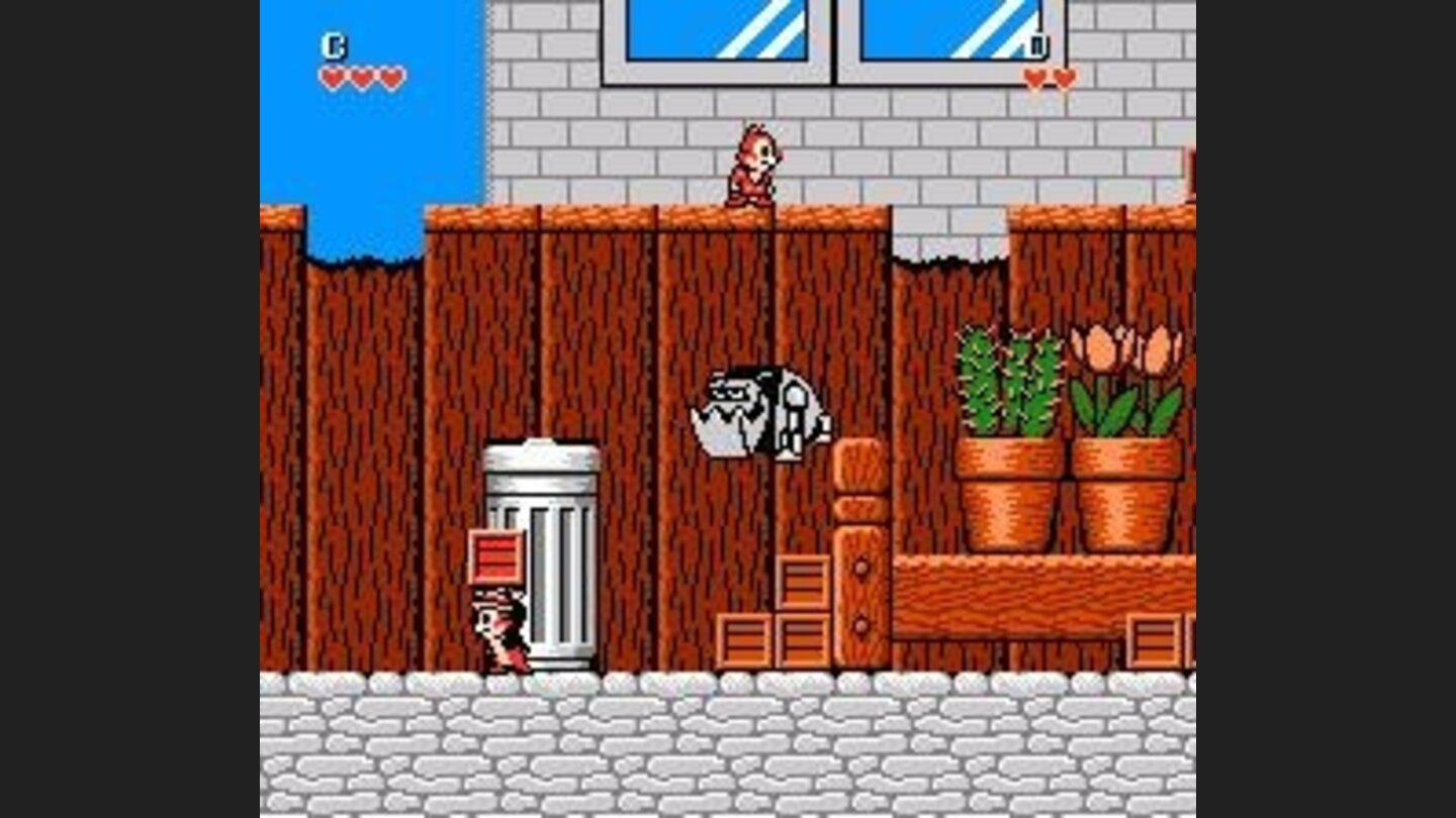 Chip + Dale; Level 1