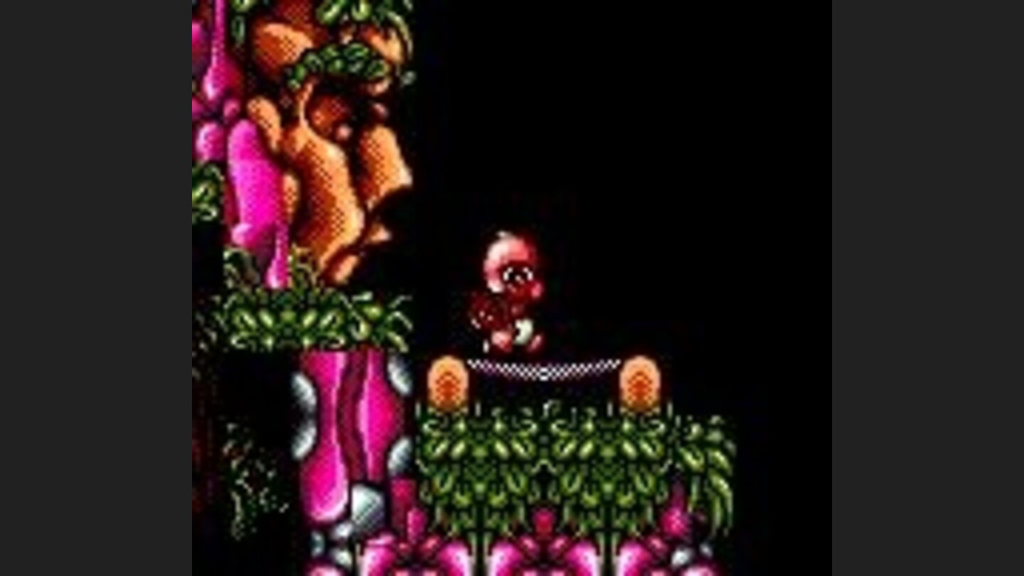 Use the trampoline to bounce higher