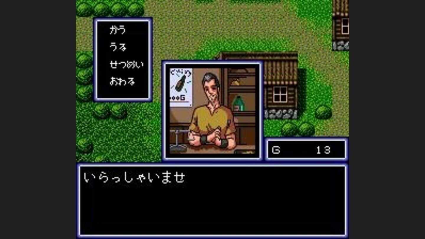 Cosmic Fantasy: In inns and shops, you see nice animé-style pictures of the characters