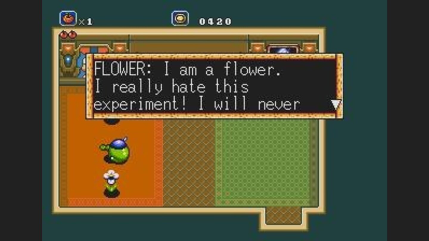 The flower shows its intelligence after a game of cross the river.