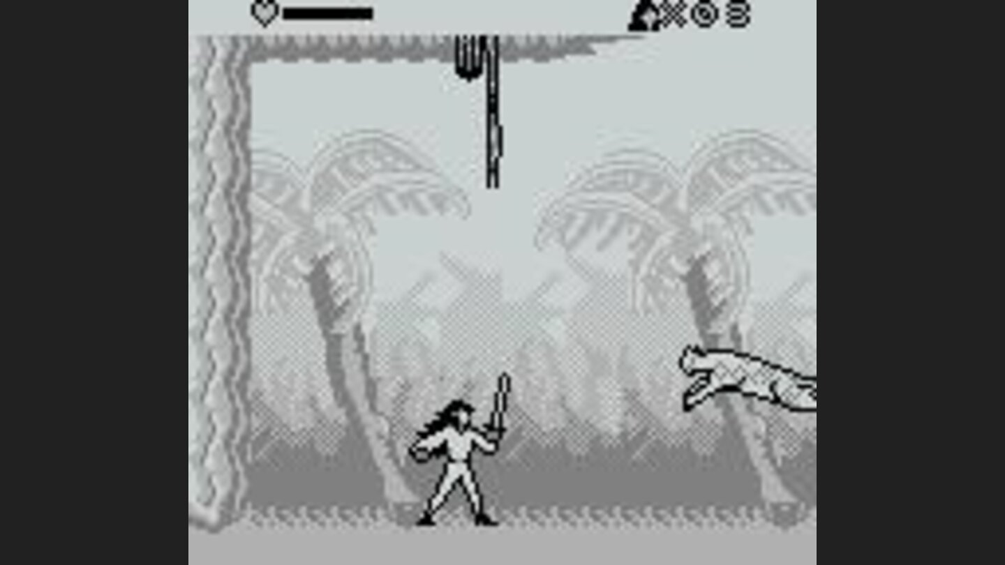 Watch out for tigers in the jungle