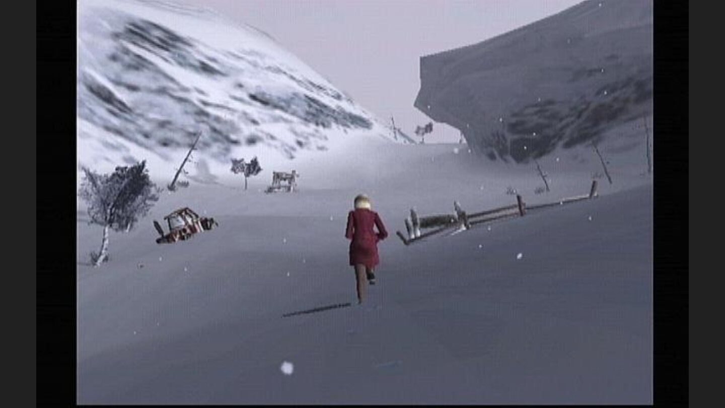Wander through the snow