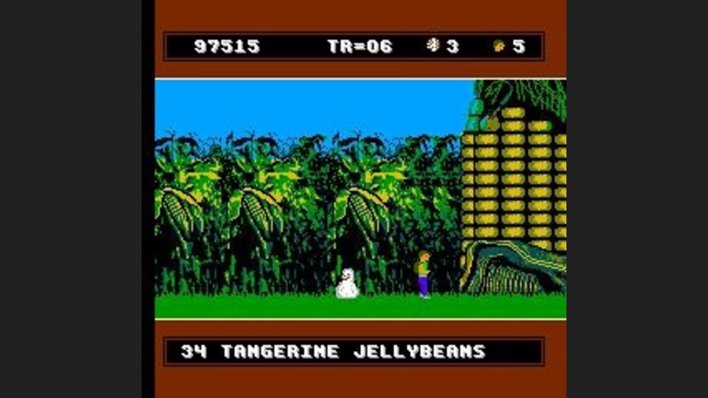 Thats some huge corn